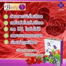 เบอร์รี่-เอส-berry-s-ดีท็อกซ์-detox-ล้างสารพิษในร่างกาย-ทำให้ระบบเลือดสะอาด-ช่วยให้ระบบขับถ่ายดี