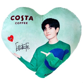 [พร้อมส่งจากไทย] หมอน Costa เหรินเจียหลุน Allen Ren