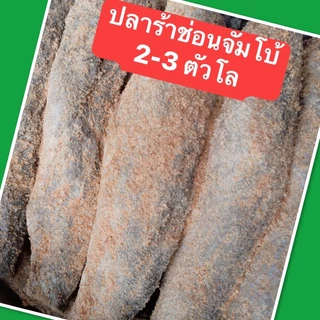 ปลาร้าปลาช่อนจัมโบ้สิงห์บุรีใช้ ขนาด 2-3 ตัว โล ไม่เค็มมาก อร่อย สะด สดใหม่ หอมข้าวคั่ว  มีหน้าร้าน พร้อมส่ง photo