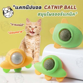 ลูกบอลแมว แคทนิปบอล ติดกำแพง ไม่กลิ้งหาย catnip ball ของเล่นแมว