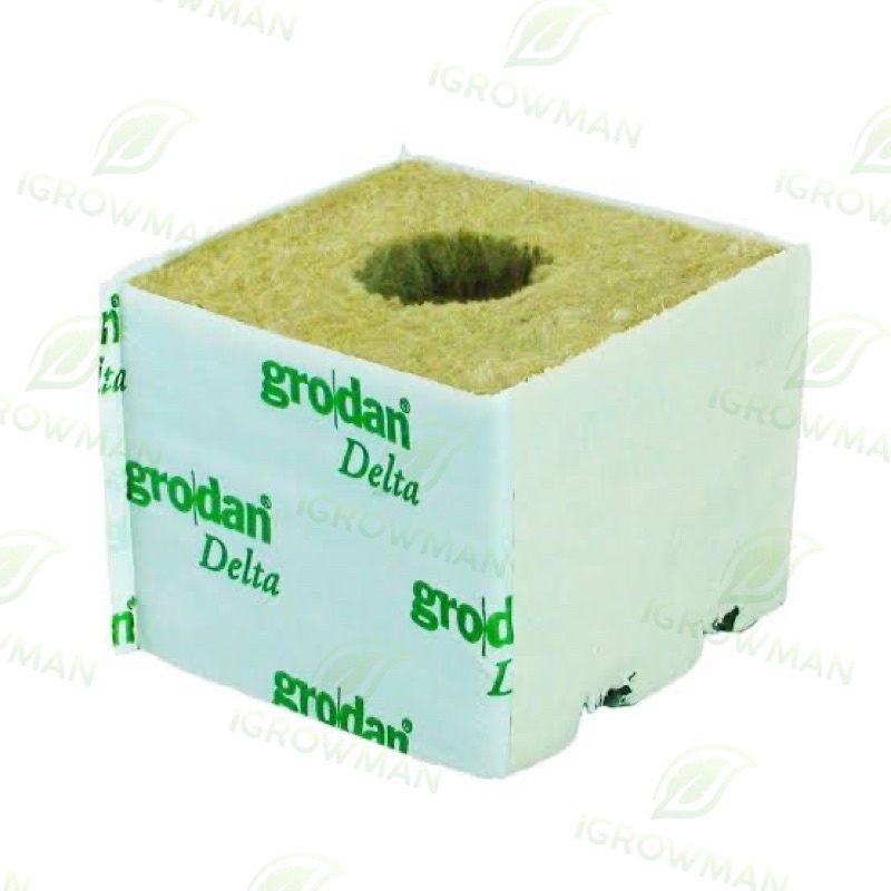 rockwool-grodan-เพาะต้นกล้า-เพาะเมล็ด-เพาะชำ-ไฮโดรโปนิกส์-hydroponics