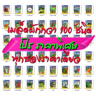 ผลิตภัณฑ์ใหม่ เมล็ดพันธุ์ เมล็ดพันธุ์คุณภาพสูงในสต็อกในประเทศไทย พร้อมส่ง ะให้ความสนใจของคุณเมล็ดอวบอ้วนผัก  สา /ต้นอ่อน