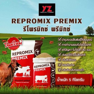 รีโพรมิกซ์พรีมิกซ์:Rrepeomix Premix