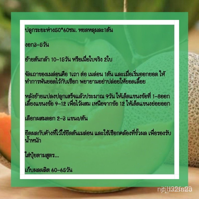 ผลิตภัณฑ์ใหม่-เมล็ดพันธุ์-เมล็ดอวบอ้วน100-เมล็ดพันธุ์-เมล่อนเนื้อเขียว-50-เมล็ด-เมล่อนเขียว-เมล่อน-ราคาถูกปลูก-ง่าย-sm