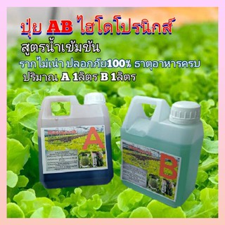 ปุ๋ยไฮโดรโปนิกส์ ปุ๋ยAB ปุ๋ยน้ำ ปุ๋ยผักสลัด สำหรับปลูกผัก Hydroponics ขนาด1000ML New สูตรเข้มข้น