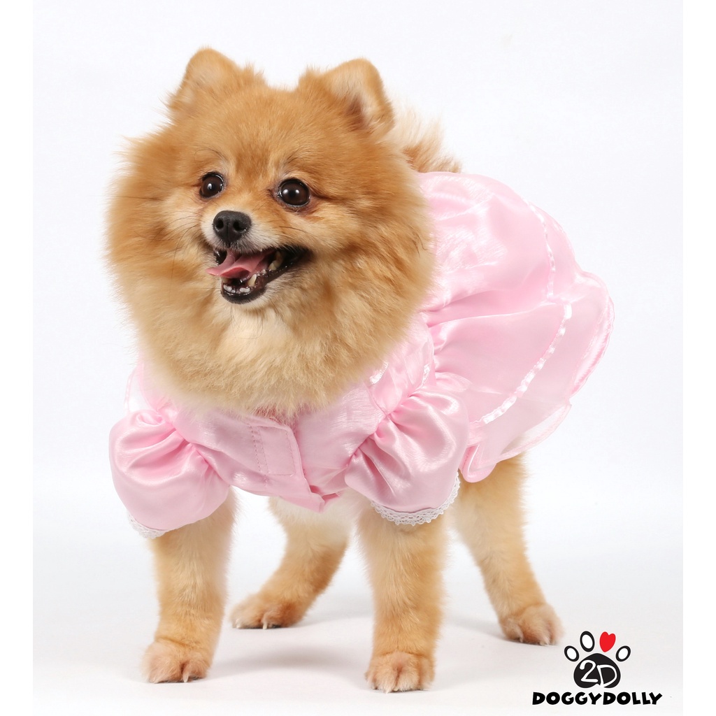 pet-clothes-doggydolly-เสื้อผ้าแฟชั่น-สัตว์เลี้ยง-หมาแมวชุดแต่งงาน-wedding-กระโปรง-ราตรี-สีขาว-ขนาดไซส์-1-9โล-d136