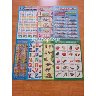 โปสเตอร์พลาสติก โปสเตอร์แบบหัดอ่านภาษาไทยก-ฮ  แบบหัดอ่าน ABC