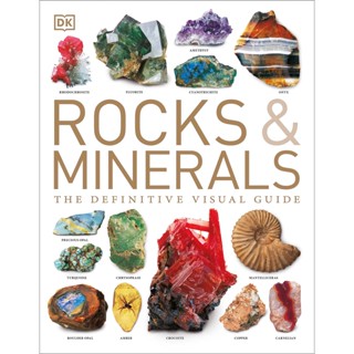 Rocks &amp; Minerals The Definitive Visual Guide Ra Bonewitz, Margaret W. Carruthers, Richard Efthim Paperback