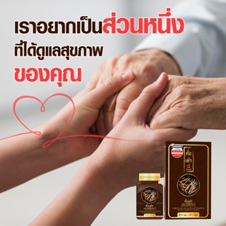 ภาพขนาดย่อของภาพหน้าปกสินค้าถั่งเช่า Cordyceps Plus Multi Vitamin B มัลติ วิตามินบี 30 แคปซูล/กล่อง จากร้าน chatsuda2531 บน Shopee ภาพที่ 1