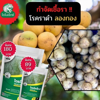 กำจัดเชื้อรา สาเหตุของโรคราดำ ในลองกอง ไตรโคเดอร์มา ไตรโคเร็กซ์ ปลอดภัยต่อคนและสัตว์เลี้ยง 100%