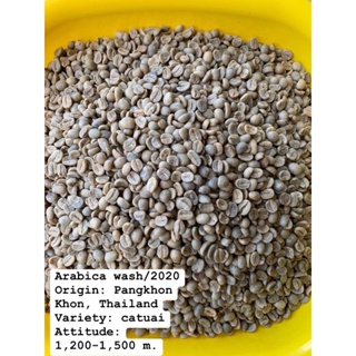 ภาพหน้าปกสินค้าสารกาแฟ ปางขอน 63-64 อราบิก้า Wash บรรจุ 1 -2 kg ที่เกี่ยวข้อง