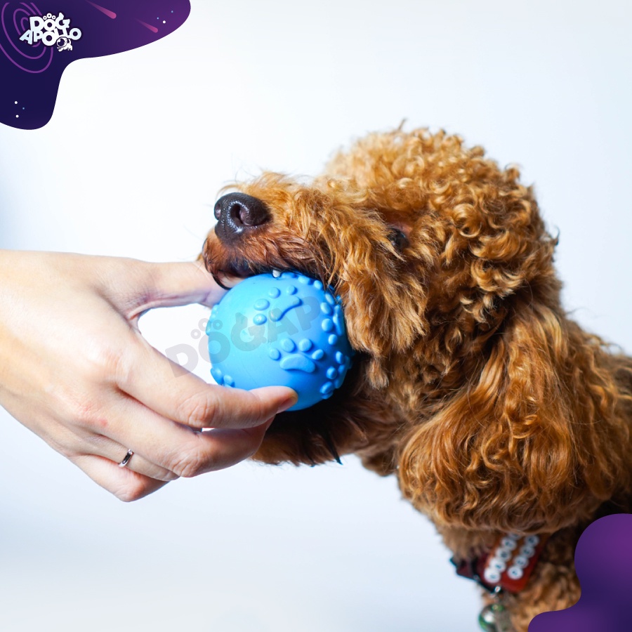 ของเล่นสุนัข-ของเล่นหมา-สุนัข-สัตว์เลี้ยง-ลูกบอลสุนัข-ของเล่นน้องหมา-ขัดฟันสุนัข
