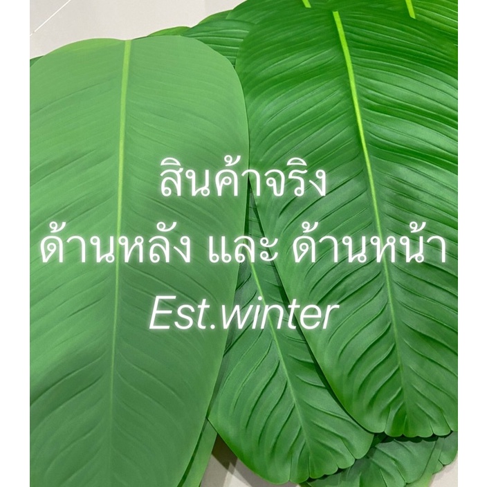 ใบตองปลอม-ใบตองเทียม-ขนาดเล็ก-ใบตองปลอม-เกรดคุณภาพดี-ใบตองเสมือนจริง-banana-leaf-ฉากถ่ายอาหาร-พร้อมส่ง