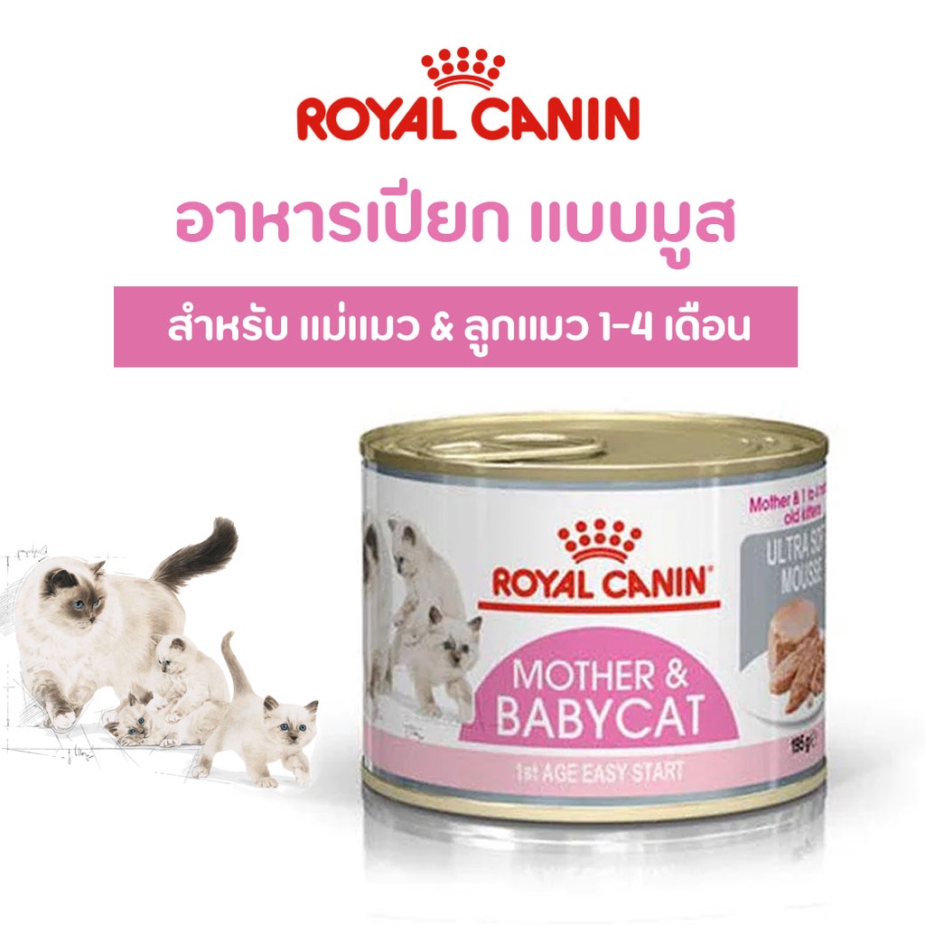 ล็อตใหม่-royal-canin-babycat-can-tray-อาหาร-เปียก-แม่แมวให้นม-และ-ลูกแมว-อายุ-1-4-เดือน-มูส-195-กรัม