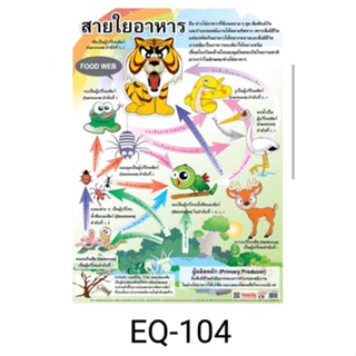 สายใยอาหาร  EQ 104 โปสเตอร์สื่อการสอนหุ้มพลาสติก ขนาด 50 * 70 cm