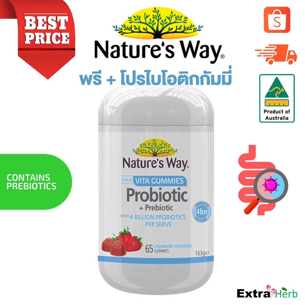 ภาพหน้าปกสินค้าโปรไบโอติกกัมมี่ Nature's Way Adult Vita Gummies Probiotic 65 Gummies จากร้าน youngandyoung บน Shopee