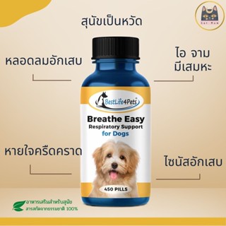 ภาพหน้าปกสินค้าส่งฟรี!! Breathe Easy Dog อาหารเสริมสุนัขเป็นหวัด ที่เกี่ยวข้อง