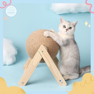🌟Animal Pet Store🌟 🛒พร้อมส่ง📍 ที่ลับเล็บแมว ที่ฝนเล็บแมว ที่ข่วนเล็บแมว ของเล่นแมว กล่องลับเล็บ ที่ฝนเล็บแมวลูกบอล