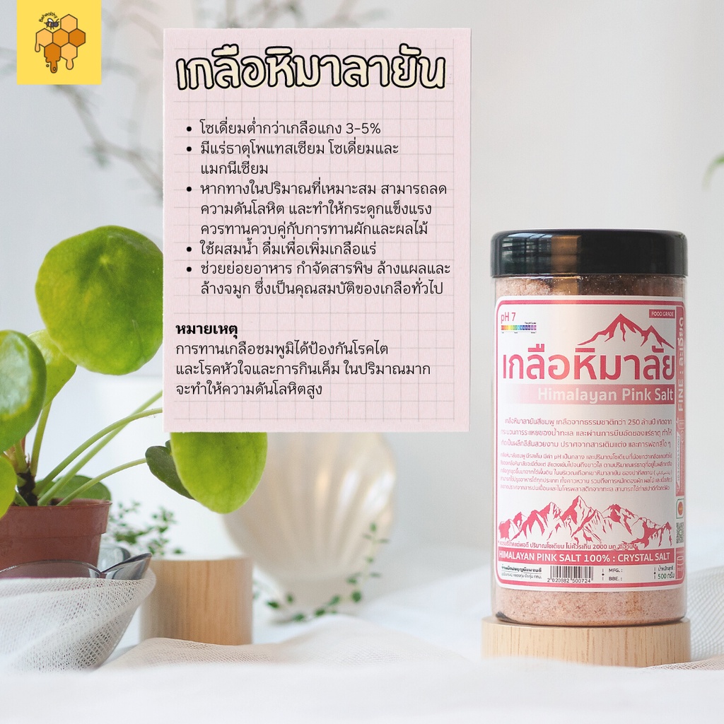 เกลือหิมาลายัน-เกลือชมพู-เกลือหิมาลัย-amp-ดอกเกลือ-himalayan-pink-salt