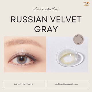 Russian velvet gray | เลนส์ไร้ขอบ รายเดือน