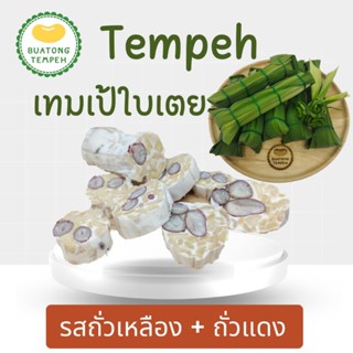 บัวตองเทมเป้สดใบเตยเจ้าแรก เทมเป้2สหาย รสถั่วเหลือง+ถั่วแดงempeh Fresh ห่อละ 60 กรัม❤️ใบเตยผ่านการล้างทำความสะอาดอย่างดี