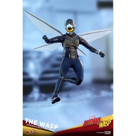 hot-toys-mms498-ant-man-and-the-wasp-the-wasp-ใหม่แกะเช็ค