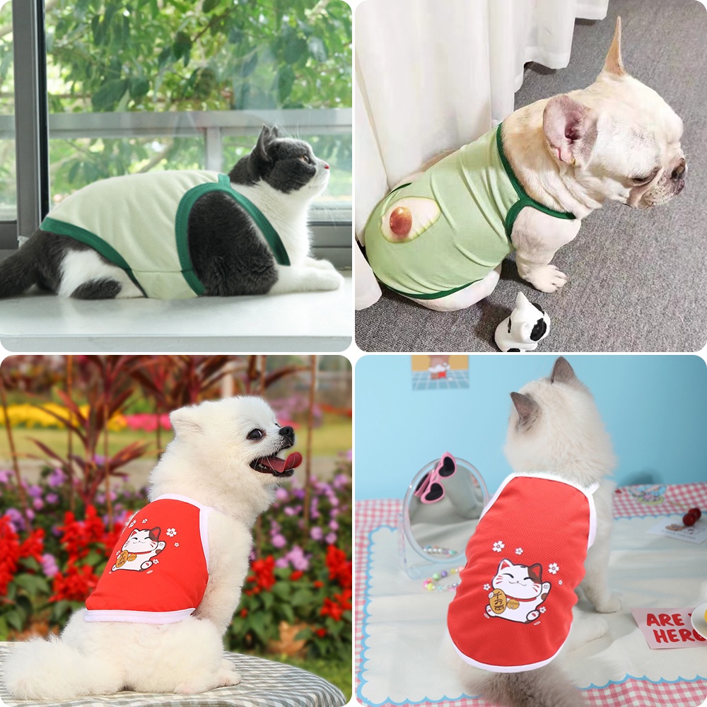 winky-wink-new-เสื้อแขนสั้น-สำหรับสัตว์เลี้ยง-สําหรับสุนัข-แมว-เสื้อแมว