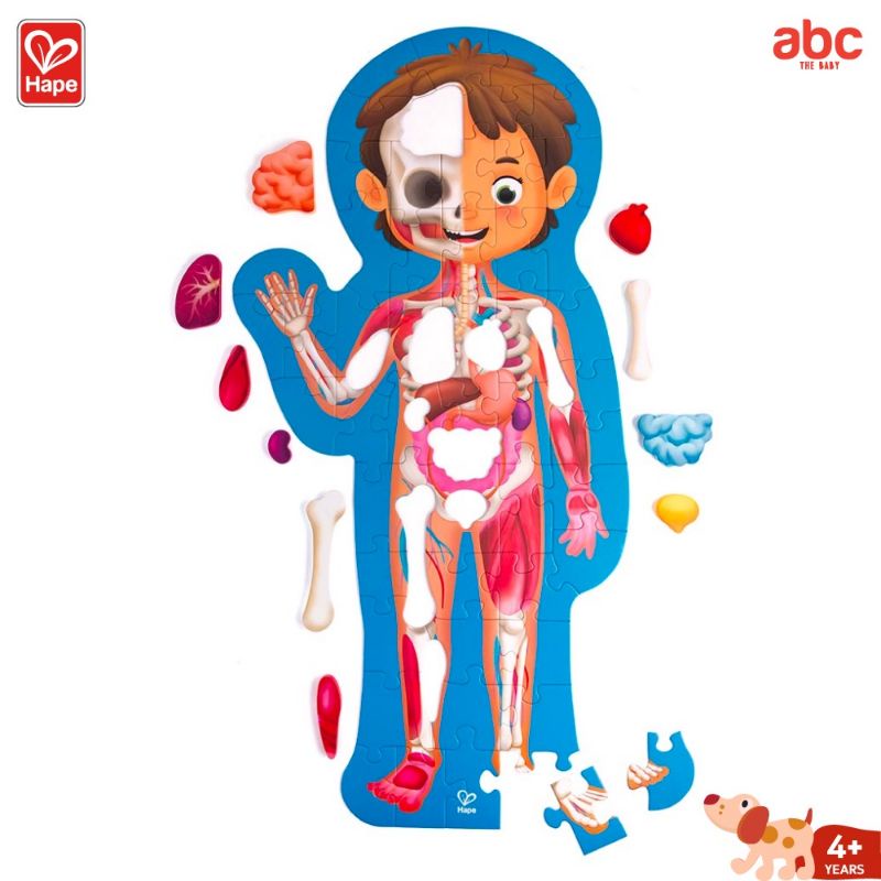 hape-puzzle-จิ๊กซอว์-อะไรในร่างกายหนู-human-puzzle-4y