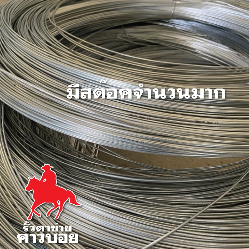 ลวดทนสนิม-ลวดขาว-ลวดช๊อต-2-0mm-ลวดชุบซิงค์แบบจุ่มร้อน-galvanized-wire-ลวดอเนกประสงค์-ลวดเหล็ก-ลวดชุบขาว