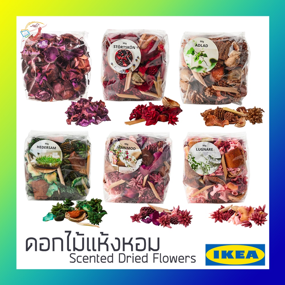 ดอกไม้แห้ง-ดอกไม้แห้งหอม-ดอกไม้ดับกลิ่น-ดับกลิ่น-ดอกไม้-มีกลิ่นหอมธรรมชาติ-อิเกีย-scented-dried-flowers-ikea