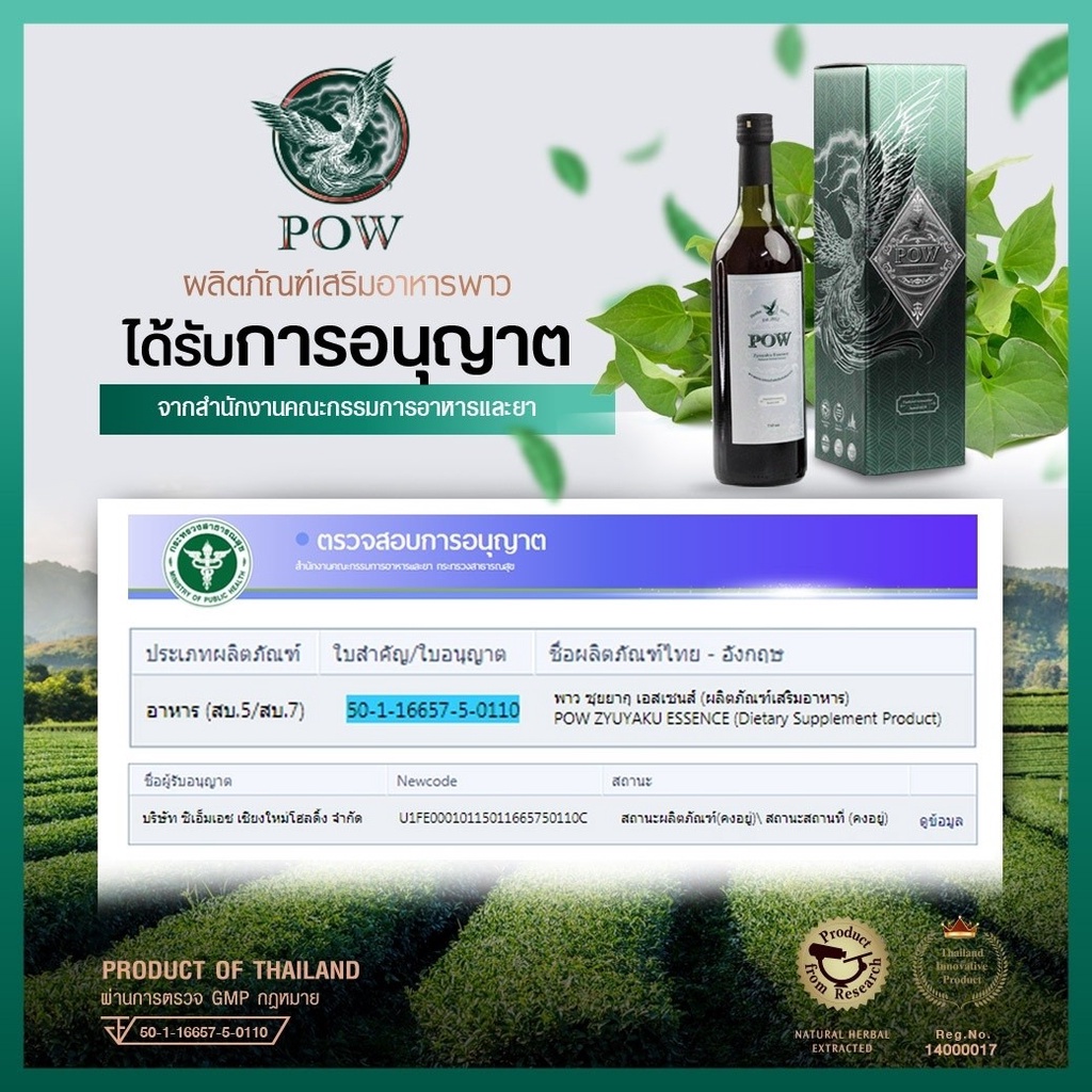 ภาพสินค้าPOW น้ำสมุนไพรพาวพลูคาวสกัด 2 ขวด พาวซูการ์คิว 3 กระปุก จากร้าน wisewellness บน Shopee ภาพที่ 3