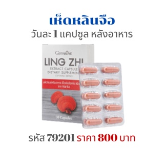 เห็ดหลินจือ แดงสกัด กิฟฟารีน LING ZHI MUSHROOM GIFFARINE | บำรุงร่างกาย บำรุงไต เสริมสร้างระบบภูมิคุ้มกัน