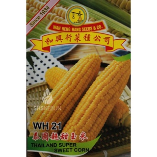 ผลิตภัณฑ์ใหม่ เมล็ดพันธุ์ จุดประเทศไทย ❤Benih Jagung Manis Thailand ไทยซุปเปอร์ข้าวโพดหวานThailand Sweet Corn Se/ง่าย JI