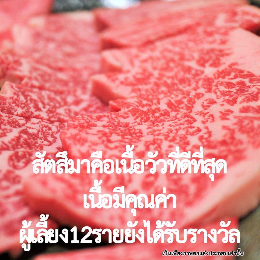 frozen-australian-striploin-marbled-สันนอกโคชุนออสเตรเลีย-เเทรกไขมันโคปรุงรส-เเช่เเข็ง