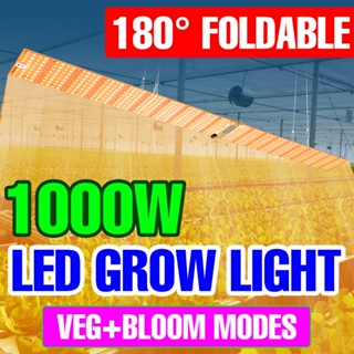 100-277V Led Grow Light Full Sspectrum ไฟปลูกต้นไม้ 1000W ไฟปลูกผัก 800W ไฟปลูกพืช 500W เร่งการเจริญเติบโตของพืช