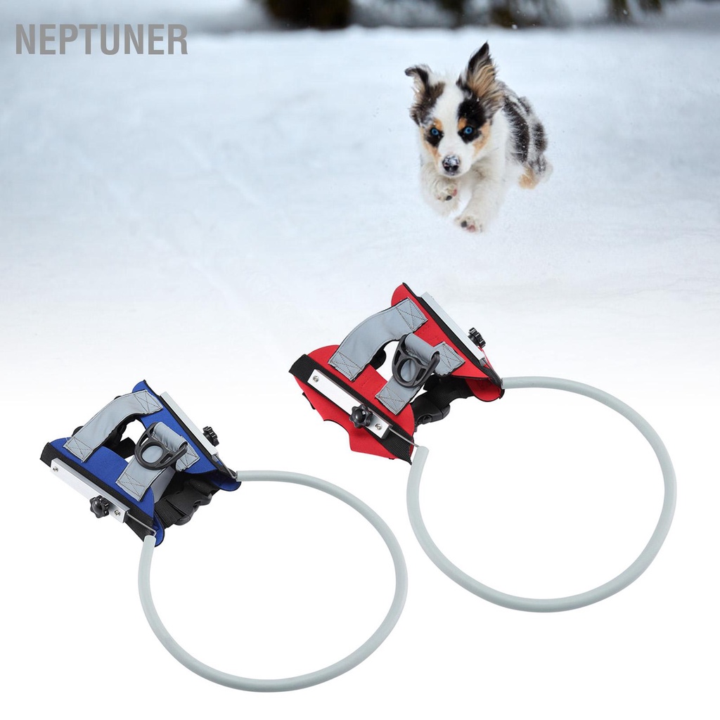 neptuner-สายรัดจูงสัตว์เลี้ยง-แบบสะท้อนแสง-ปรับได้-ระบายอากาศ-ป้องกันการชน-สําหรับสุนัข-แมว