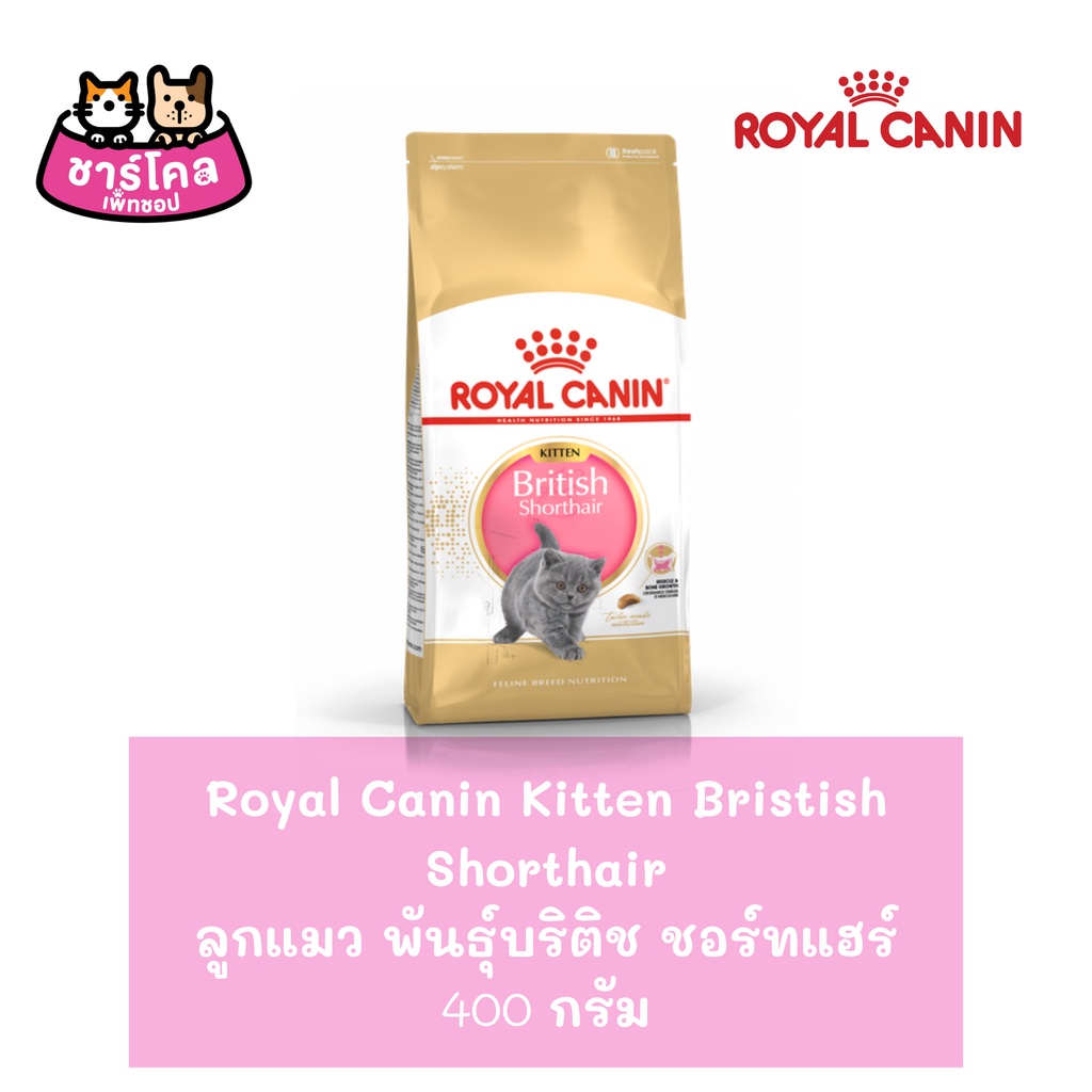 royal-canin-british-shorthair-kitten-400g-อาหารลูกแมว-สายพันธุ์บริติช-ชอร์ตแฮร์-400-กรัม-ถุง