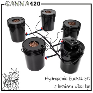 ชุดปลูกครบเซ็ท Hydroponic Grow System Deep Water Culture (DWC) Complete Kit (4 Bucket + Reservoir Kit) full set สำหรับสา