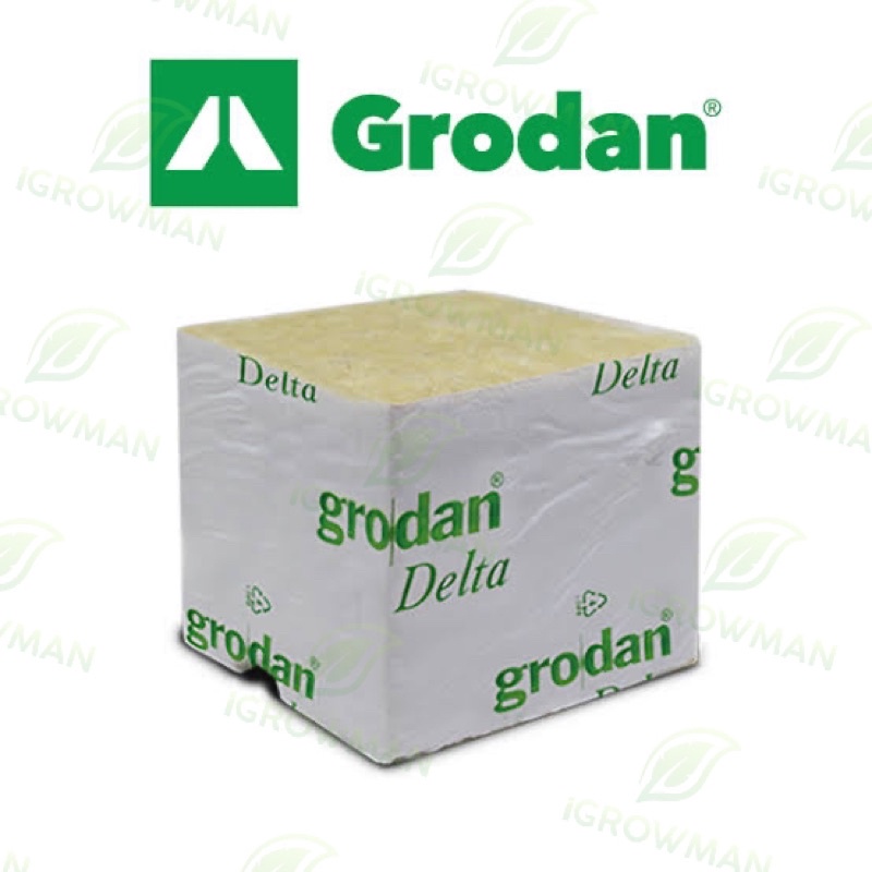 rockwool-grodan-เพาะต้นกล้า-เพาะเมล็ด-เพาะชำ-ไฮโดรโปนิกส์-hydroponics