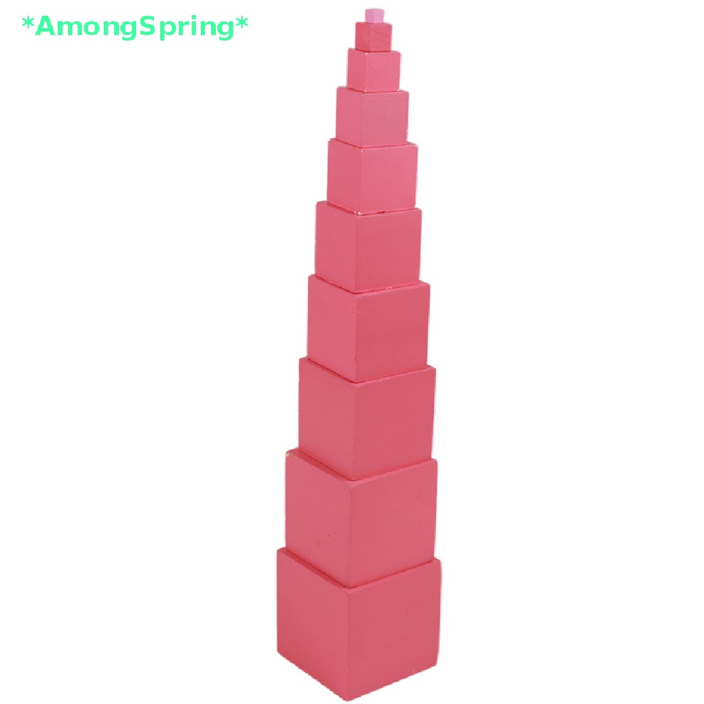 amongspring-gt-montessori-materials-pink-tower-early-childhood-education-preschool-kids-toys-new