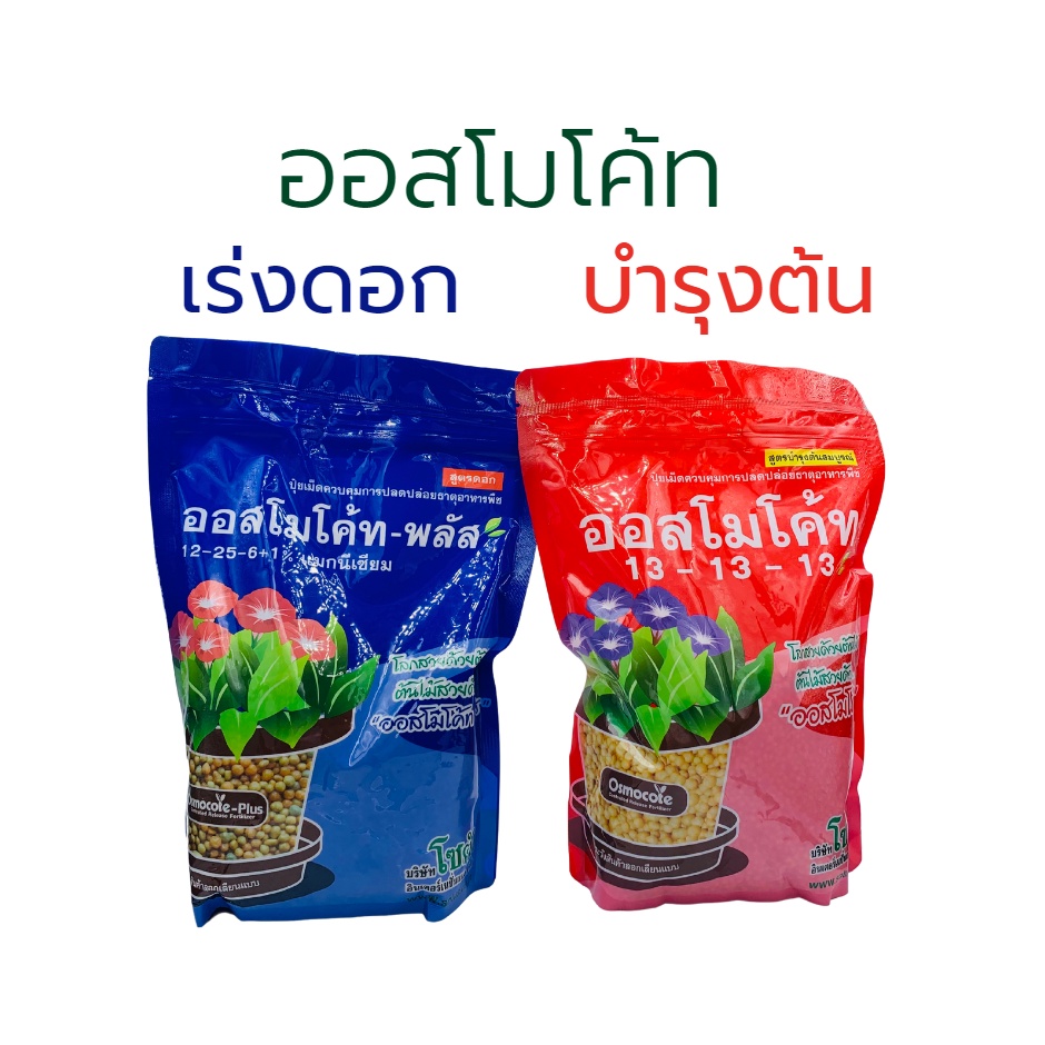 ปุ๋ยออสโมโค้ท-ออสโมโค้ทพลัส-สูตรบำรุงต้น-สูตรเร่งดอก-ขนาด-1-กิโลกรัม-ราคาถูก-พร้อมส่ง-ปุ๋ยละลายช้า-ปุ๋ยแคคตัส-ปุ๋ยบำรุง