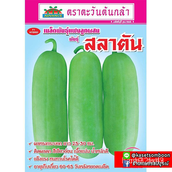 ผลิตภัณฑ์ใหม่-เมล็ดพันธุ์-เมล็ดพันธุ์คุณภาพสูงในสต็อกในประเทศไทยเมล็ดฟักแฟง-สลาตัน-พันธุ์แฟงไส้ตั้น-ผิวสวย-ลูกให-ง่าย-ue