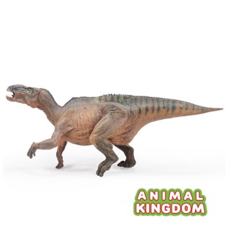Animal Kingdom - โมเดลไดโนเสาร์ Iguanodon น้ำตาล ขนาด 23.00 CM (จากหาดใหญ่)