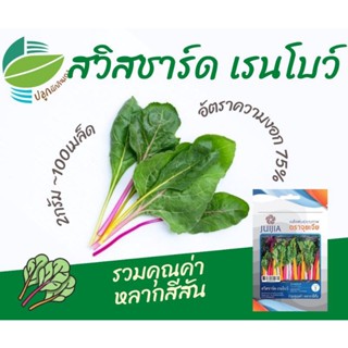 （คุณภาพสูง เมล็ด）สวิสชาร์ด เรนโบว์ (Swiss Chard Mixed Color)/ต้นอ่อน ผัก ปลูก สวนครัว คละ/ต้นอ่อน MW2E