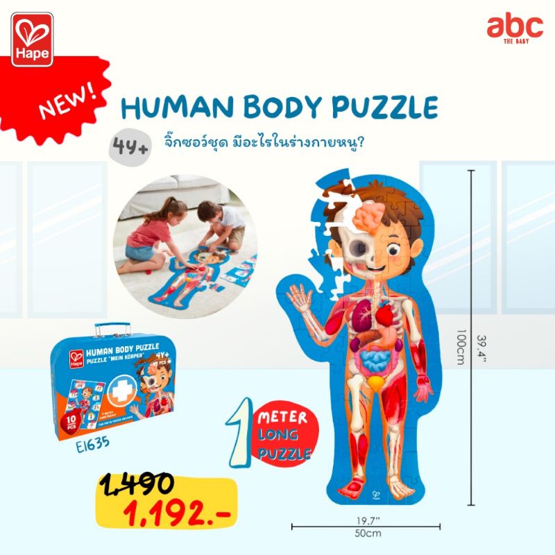 hape-puzzle-จิ๊กซอว์-อะไรในร่างกายหนู-human-puzzle-4y