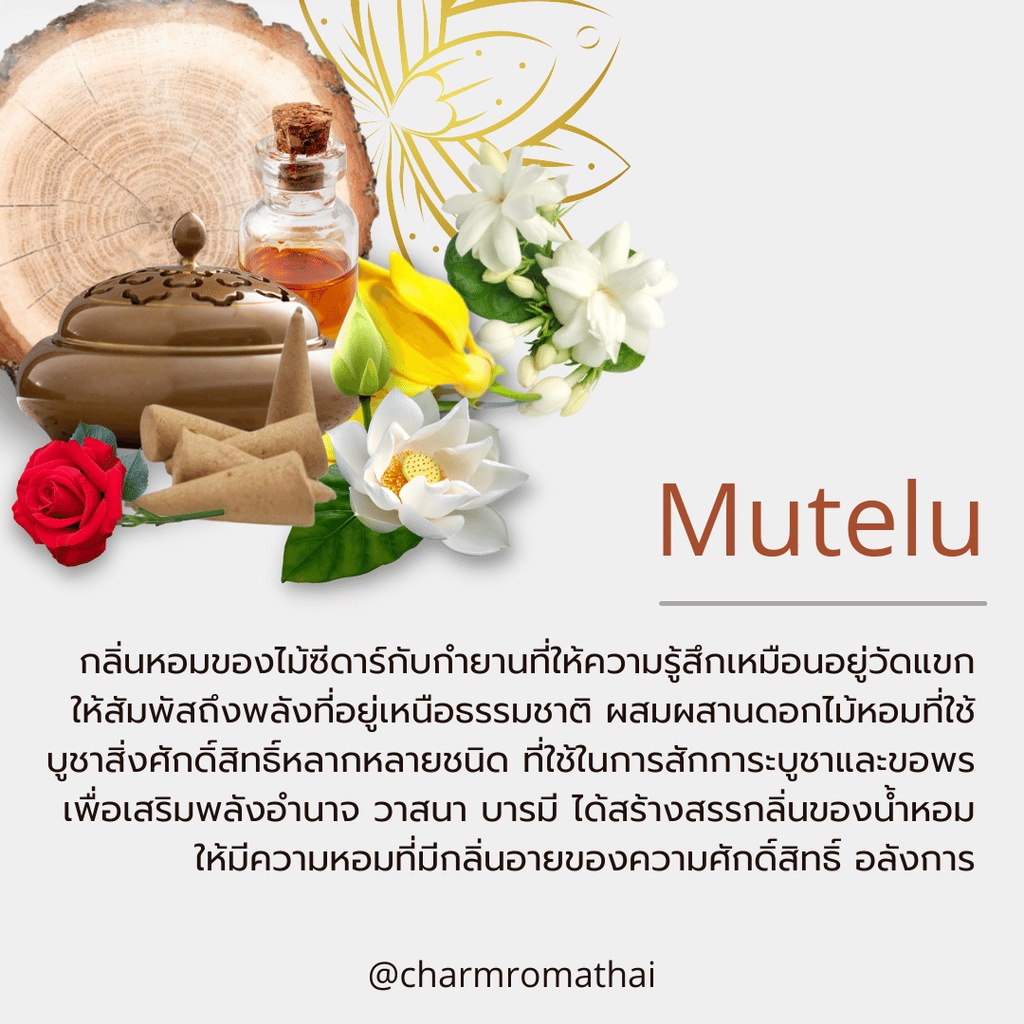 charmroma-mutelu-spray-air-conditioning-ชาร์มโรม่า-สเปรย์ปรับอากาศ-กลิ่นมูเตลู-250ml