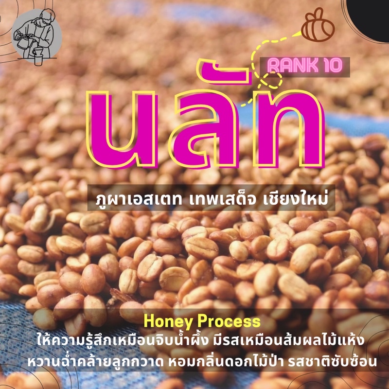 กาแฟคั่วอ่อน-นลัท-honey-process-100-กรัม-omni-roast-กาแฟจากภูผาเอสเตท-ดอยสะเก็ต-จ-เชียงใหม่-rank-10