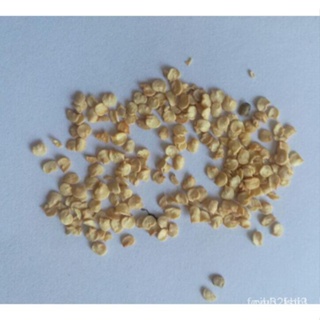 100 แคปซูล/แพ็ค เมล็ดพืชกินได้เมล็ดพริกไทย（เมล็ดพันธุ์แท้ นำเข้าจากต่างประเทศ）/กะเพรา R0WC
