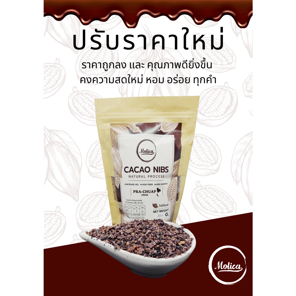 ภาพหน้าปกสินค้าMolica โกโก้นิบส์ สดใหม่ทุกฤดู superfood cacao nibs cocoa nib โกโก้นิบ คาเคานิบส์ คาเคานิบ จากร้าน tungtoon1 บน Shopee