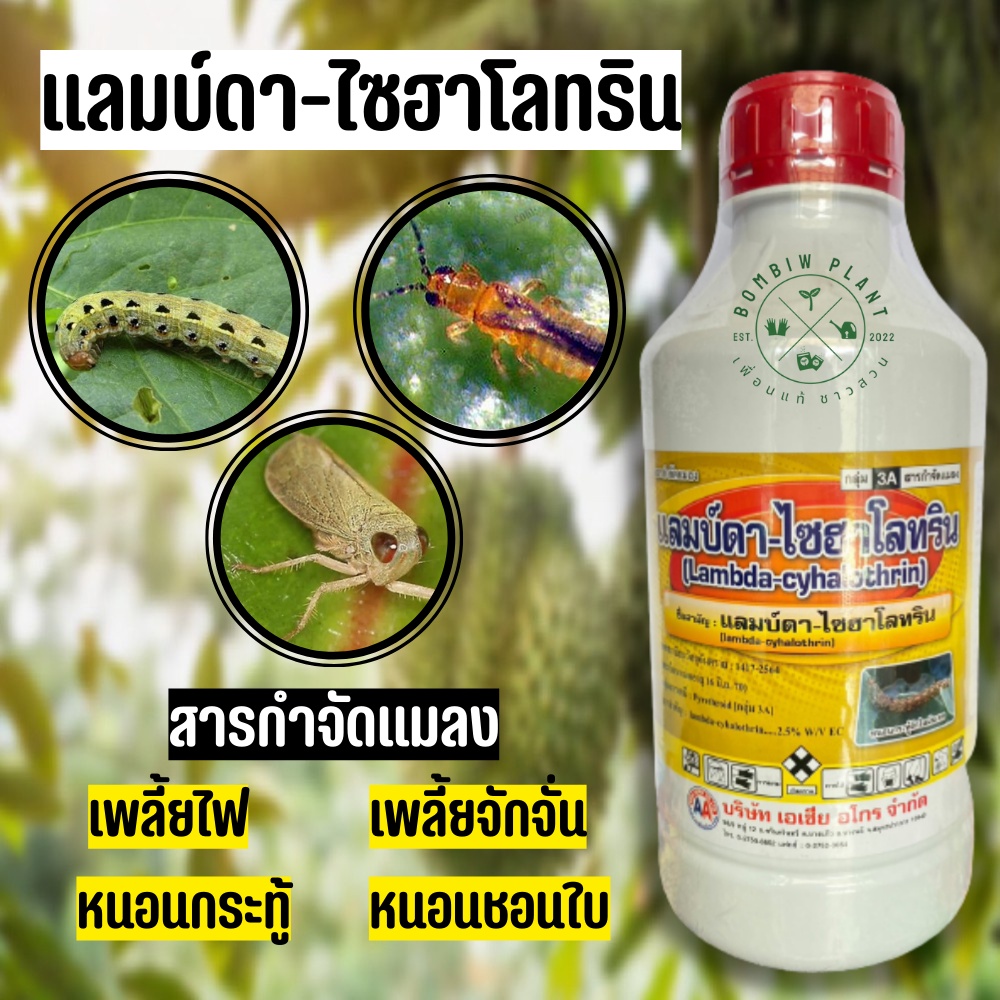 แลมบ์ดา-ไซฮาโลทริน-ขนาด-1-ลิตร-กำจัดแมลงได้กว้างขวาง-ทั้งเพลี้ยและหนอนชนิดปากกัดและปากดูด-ปลอดภัยต่อพืชที่ปลูก